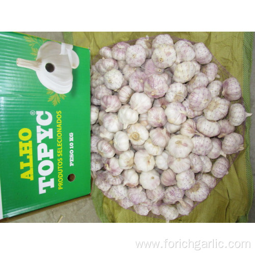 Normal White Garlic From Garlic Hometown Jinxiang
